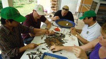 NGC - Misso, Mike, Satish, Barb working on seeds at ECHO's seed bank