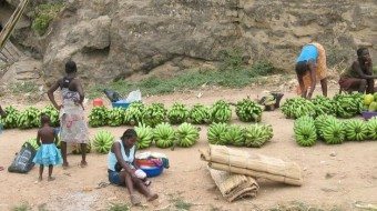 Women selling bananas