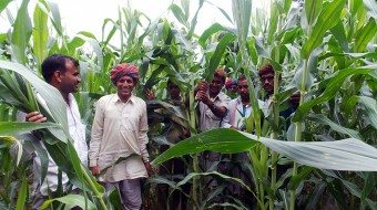 Local farmers