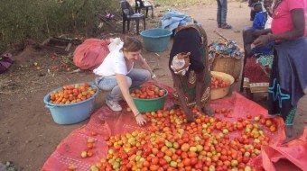 la Caixa Foundation - Mozambique