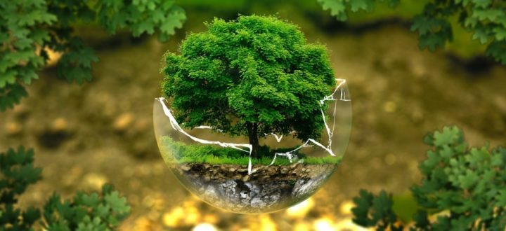 environmental-protection-326923_1280